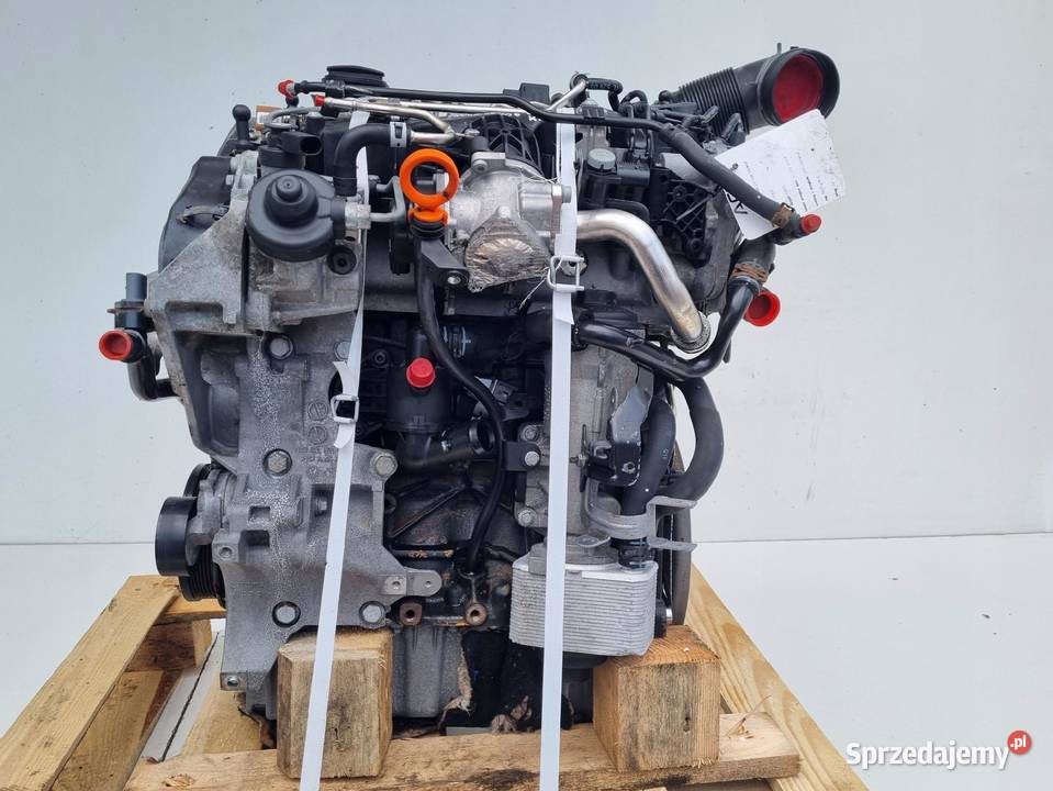 SILNIK KOMPLET Audi A3 II 8P 20 TDI 140 Silniki kompletne Janów