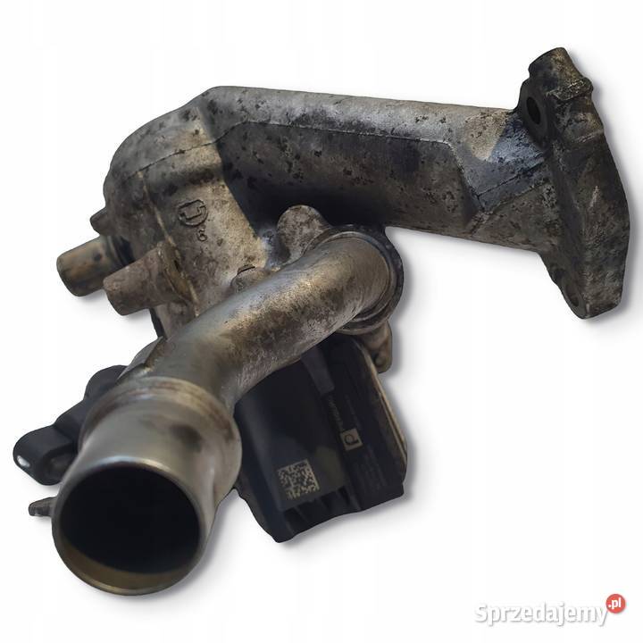 CHŁODNICA SPALIN EGR Ford Focus III MK3 16 TDCI lubelskie Chełm