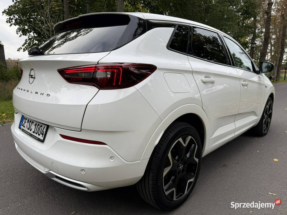 Opel Grandland 15 CDTI 130 Full Led Navi Automat Józefkowo