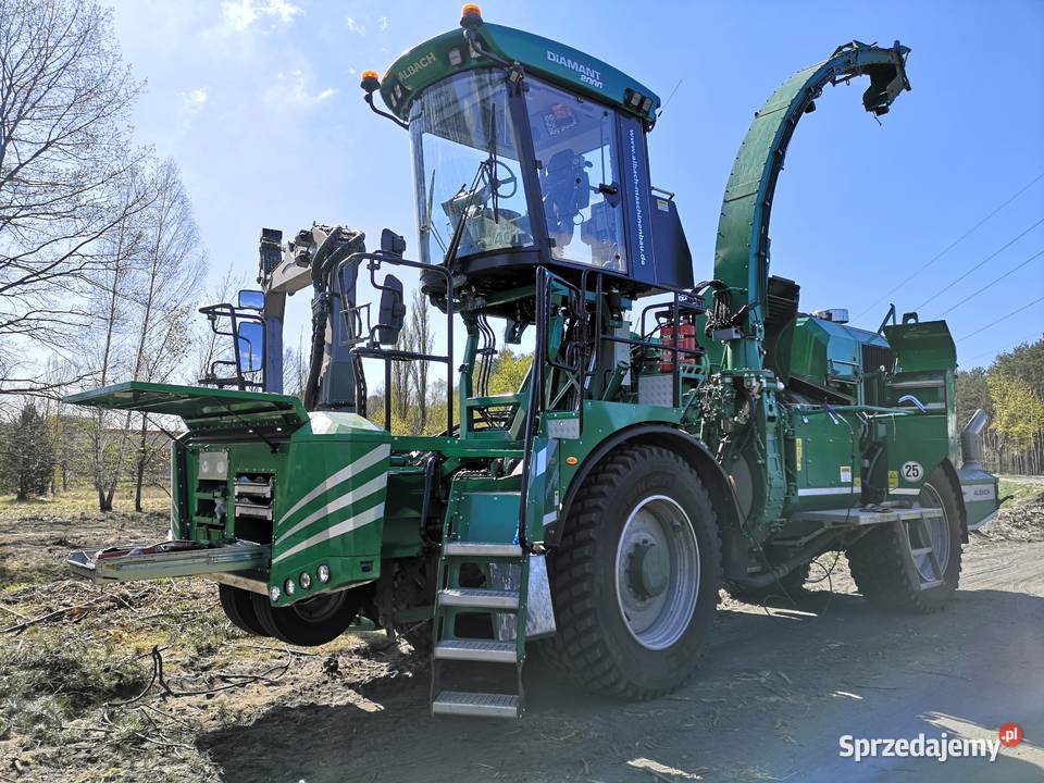 Przygotowanie terenu inwestycji Wycinka drzew Zielona Góra