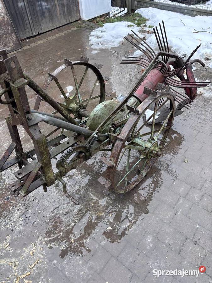 Kopaczka koparka do ziemniaków Agromasz Cierpisz