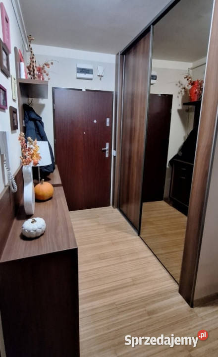 Mieszkanie 52m2 w Toruniu kujawsko-pomorskie Toruń