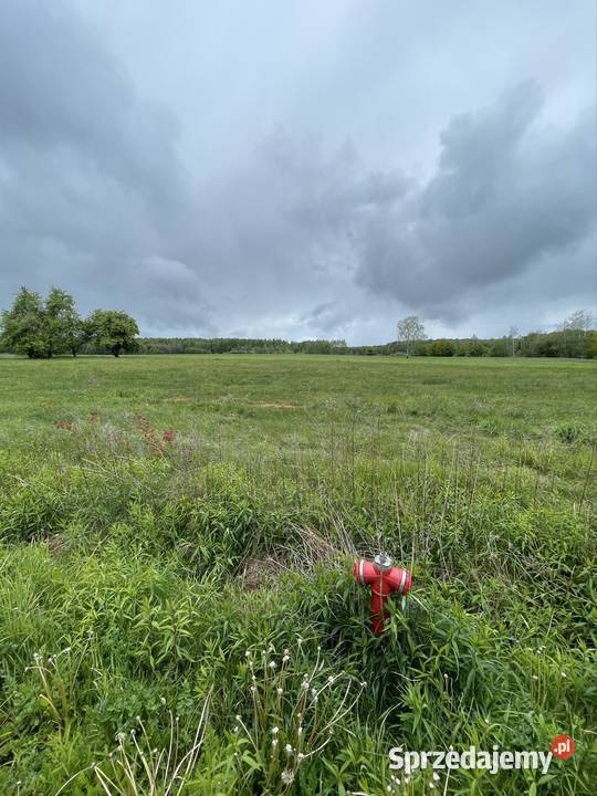 Działka do Sprzedania do Negocjacji Wilchta
