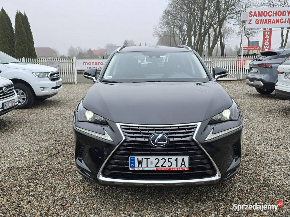Lexus NX 300h HYBRID AWD 4x4 Elegance Salon NX Włocławek
