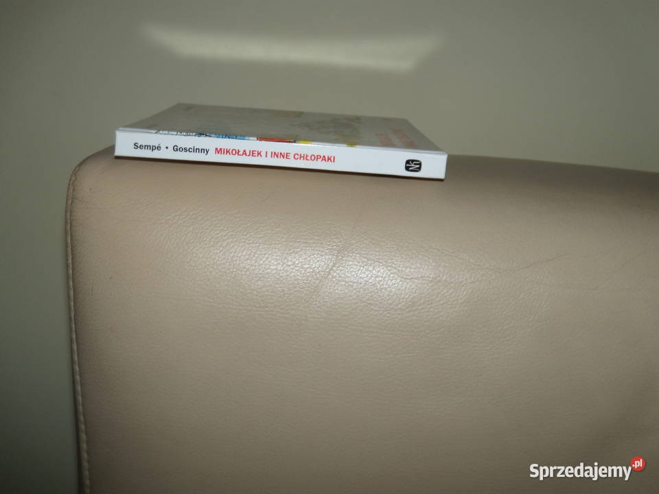 Mikołajek i inne chłopaki