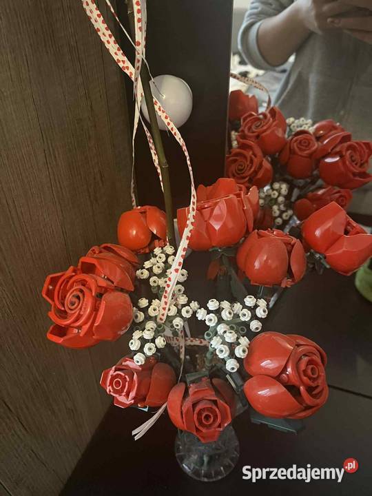 Róże lego Zabawki podkarpackie Dębica