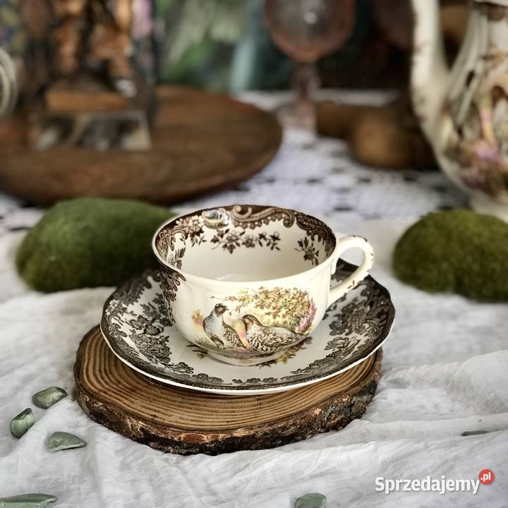 Filiżanka Royal Worcester Palissy porcelana Myszków sprzedam