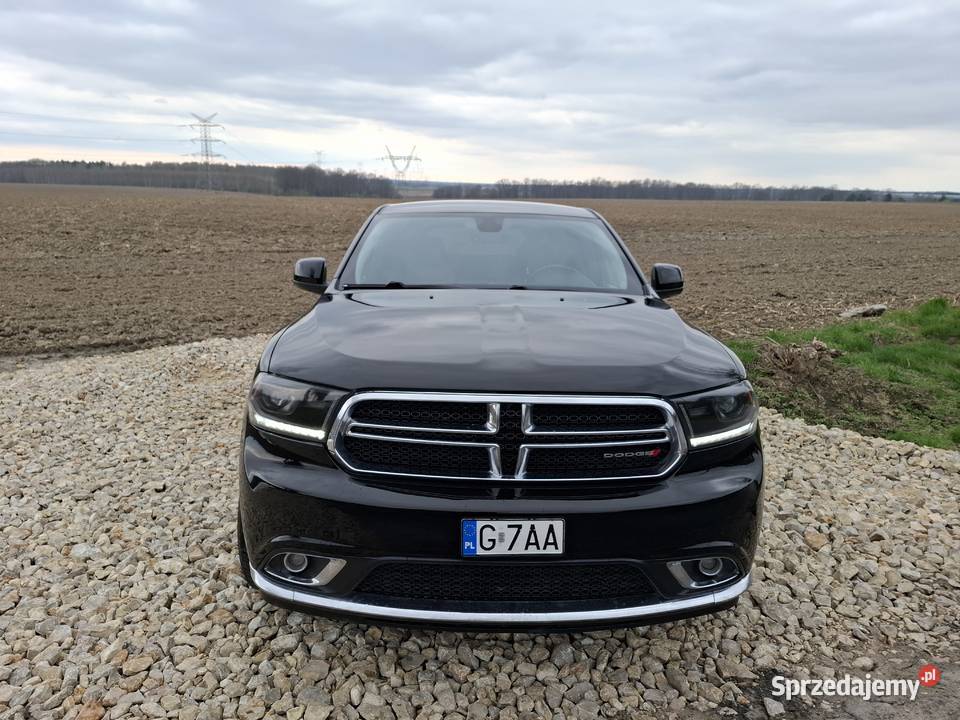 Czarna perełka Pniów