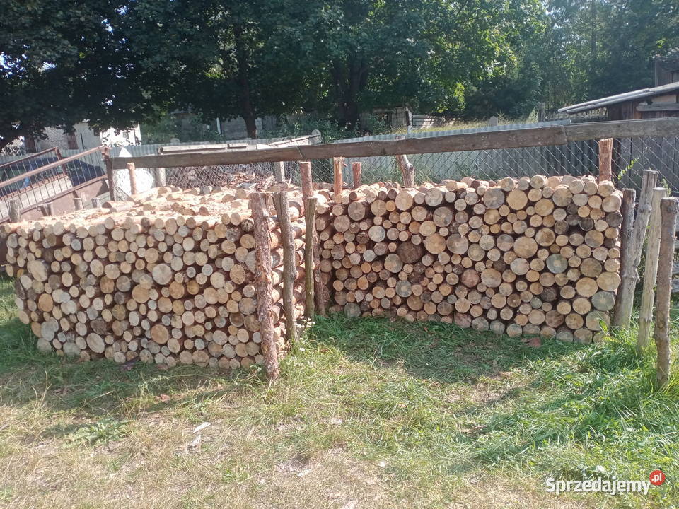 Drewno suche Brzustów sprzedam