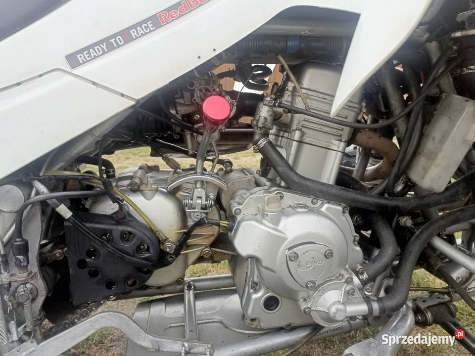 Quad dinli dl801 3003 Biała Podlaska