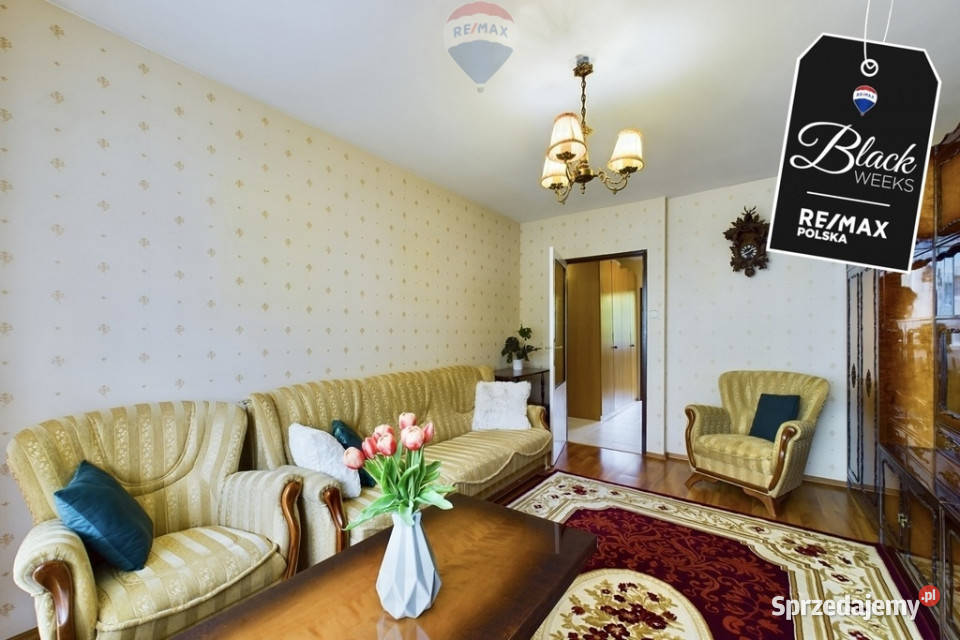 Do wynajęcia 2 pokoje pow 4390 m Zielona Góra