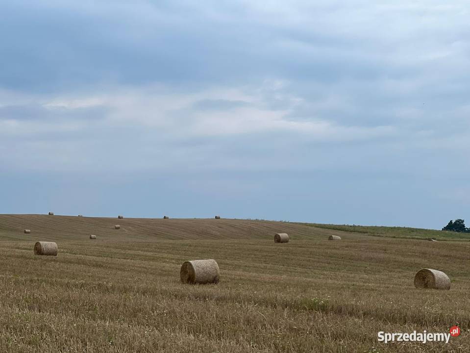Słoma siano Czarna Dąbrówka