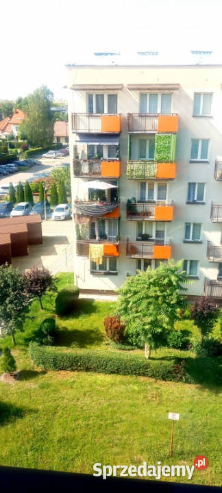 Wynajmę mieszkanie tarnów Liczba pokoi 2