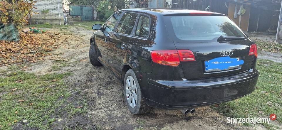 Audi A3 8P Pniówno