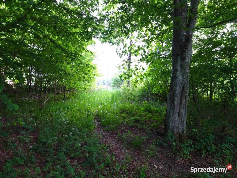 Działka budowlana drodze asfaltowej Darżewo