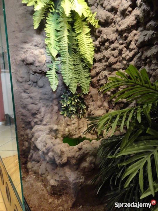 Sprzedam terrarium 250 Piaseczno