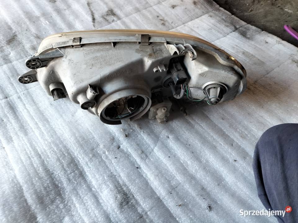 KIA CARNIVAL LAMPA PRZÓD PRAWA PRZEDNIA Kamień-Kolonia