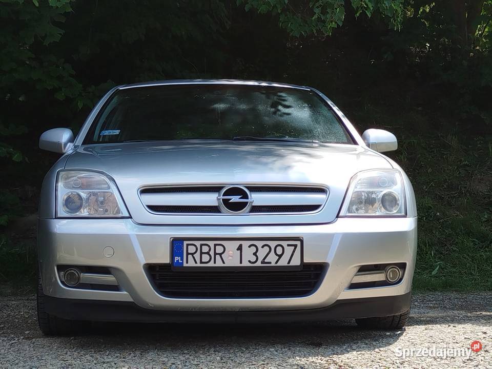 Opel Signum 22 DTI ECOTEC Cosmo 125 2003 automatyczna