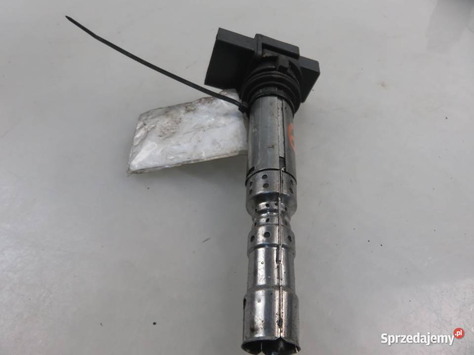 CEWKA VW PHAETON 60 W12 07C905715A osobowe małopolskie