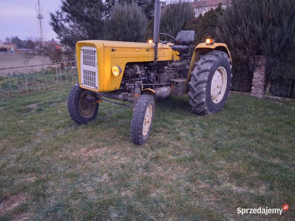 Ursus Orginał Lisewo