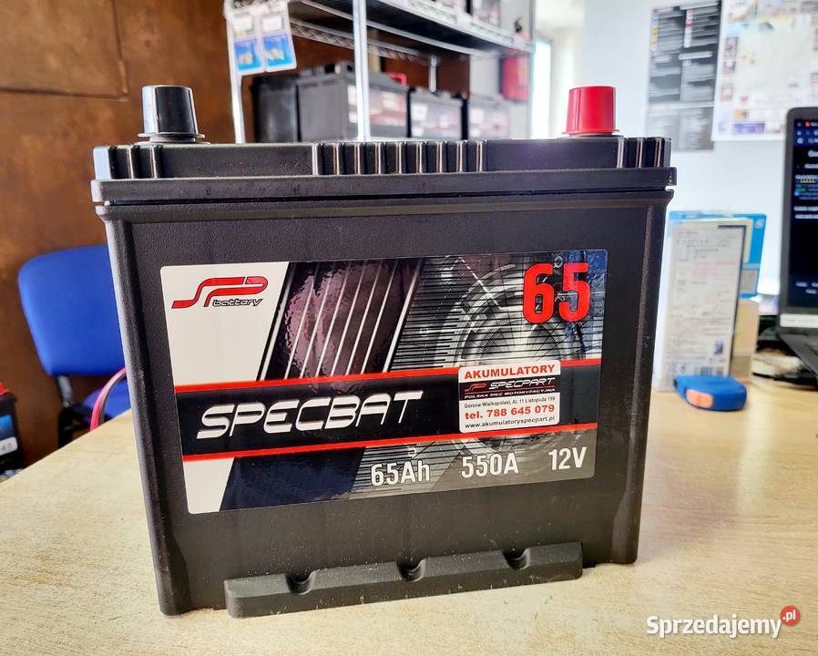 Akumulator SPECBAT 65Ah 550A EN Japan PRAWY PLUS osobowe Gorzów Wielkopolski
