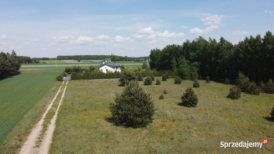 Nowoczesny dom 80 m2 piękna działka gm Przyłęk Wólka Zamojska