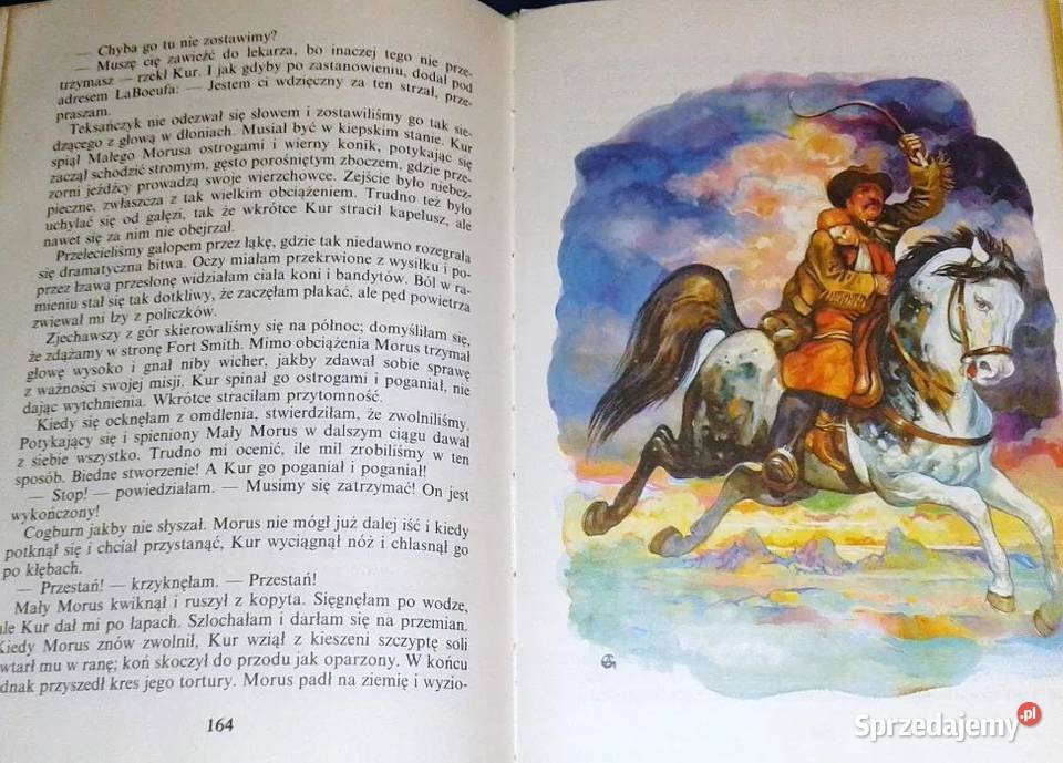 Troje na prerii Charles Portis