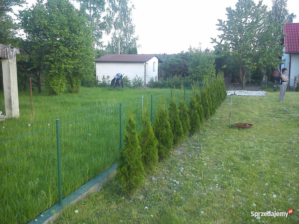 Działka rekreacyjna ROD Wudzyn Wudzyn