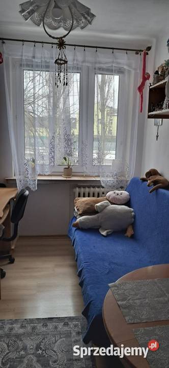 Mieszkanie 3 pokoje I piętro pom. użytkowe Kielce