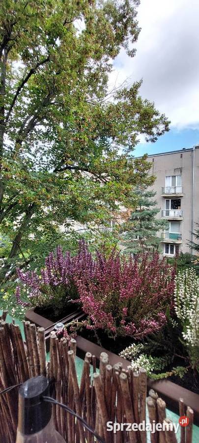 Klimatyczne mieszkanie w bloku z cegły Łódź