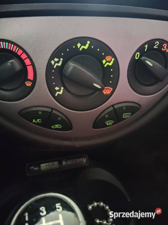 Sprawna Foczka małe pieniążki Zarejestrowany w Polsce Łask