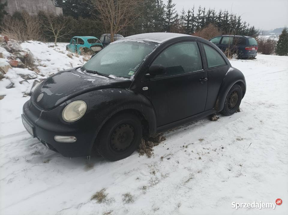 Beetle LPG kujawsko-pomorskie