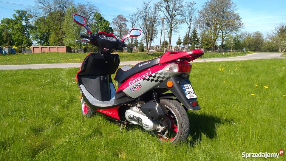 KINGWAY BARRACUDA 50 Nowy pas napędowy Starogard Gdański