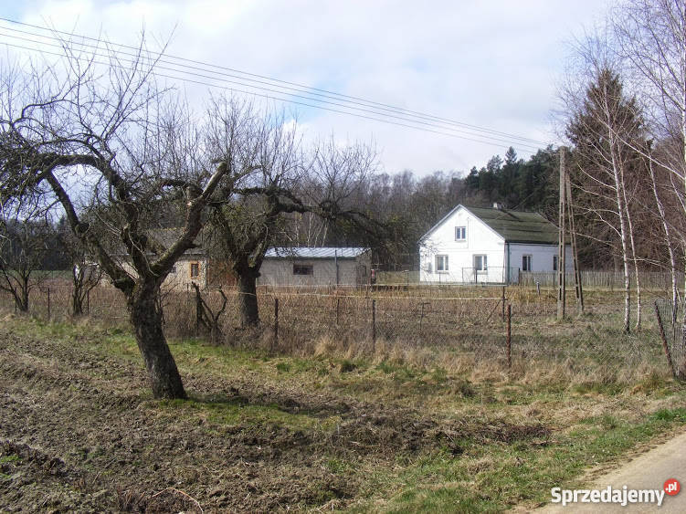 Działka siedliskowa Strzembowo 35 ha Strzembowo