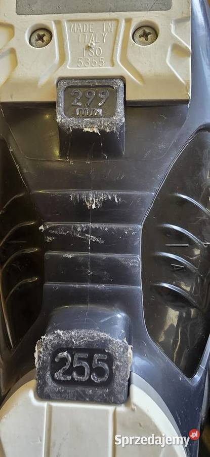 Buty narciarskie Dalbello 255 Sport i Wypoczynek Żagań