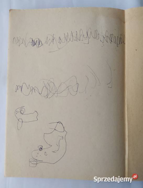 PLACÓWKA Bolesław Prus Hajnówka sprzedam