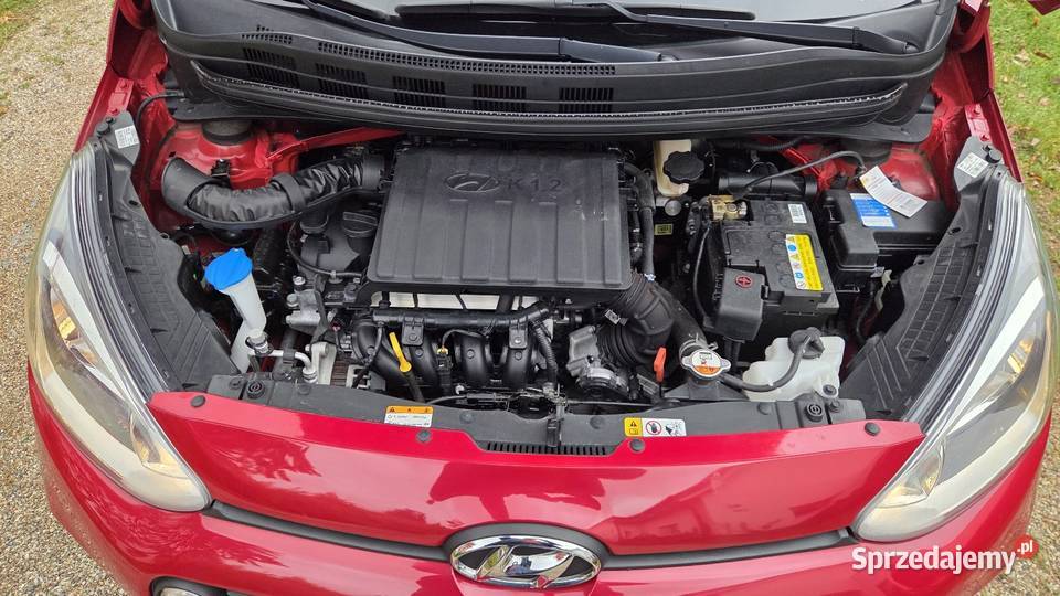 Hyundai i10 Najbogatsza wersja wyposażenia Gdańsk