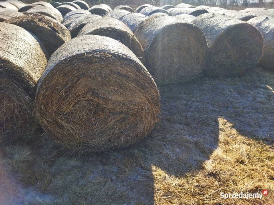 Bele słomy siana podkarpackie Przeworsk