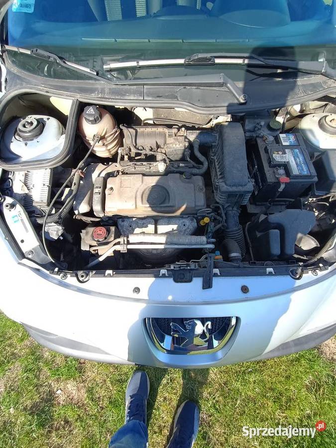 Peugeot 206 plus 11 nieuszkodzony Polkowice