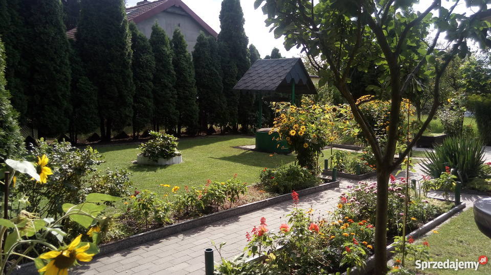 Działka ROD prąd Bydgoszcz