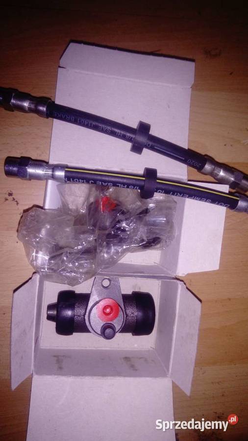 wvt3naczensci