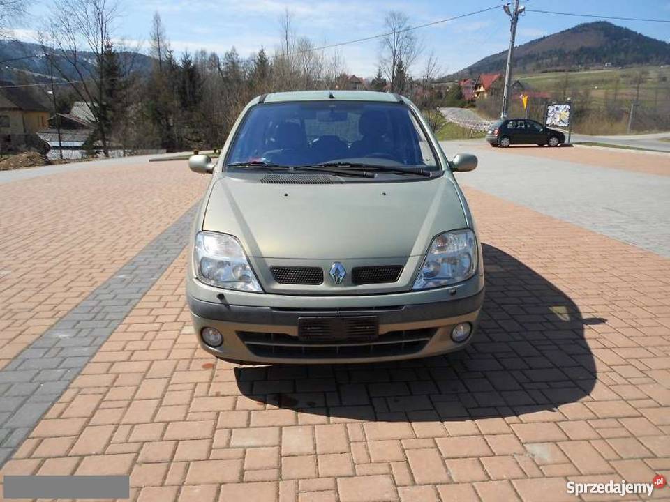 Renault Scenic nieuszkodzony zielony diesel Scenic