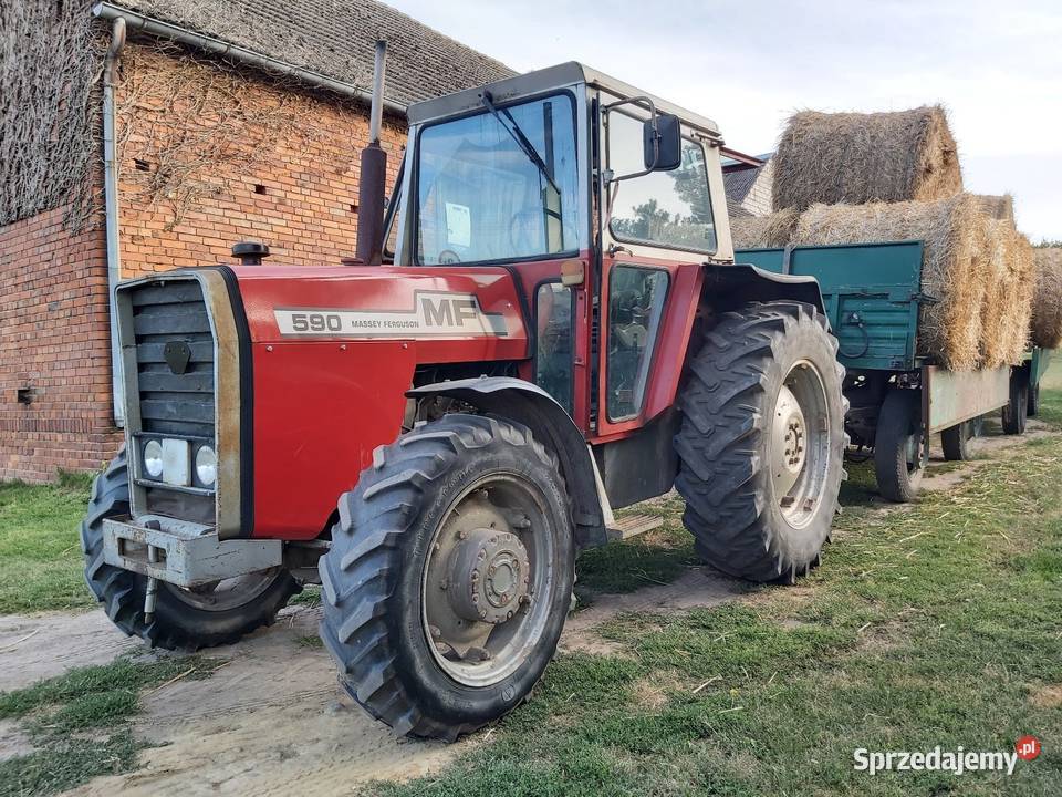 Massey Ferguson 590 dolnośląskie Dziadkowo