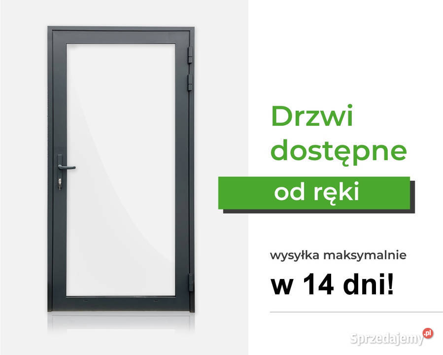 Drzwi Aluminiowe jednoskrzydłowe 1100x2100 mm Adamówka