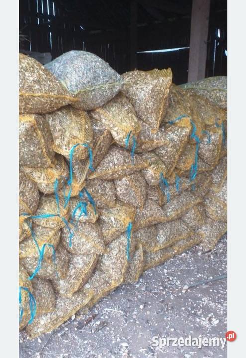 Zrębki wierzby energetycznej lubelskie Frampol sprzedam