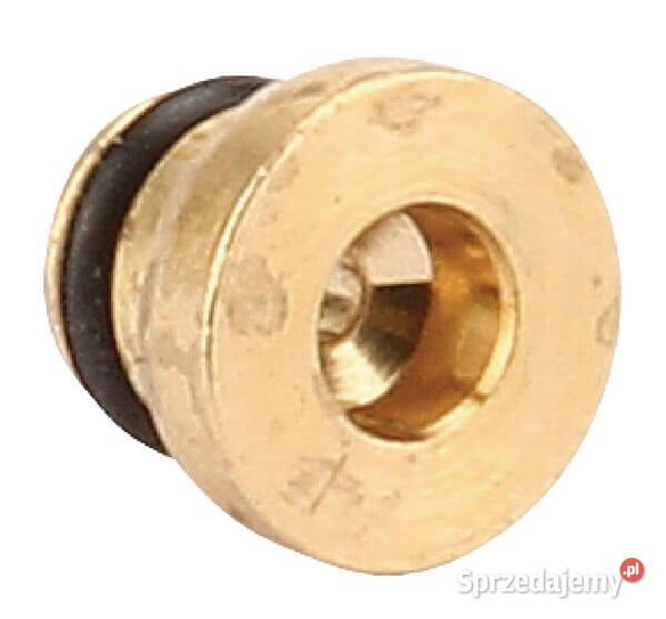 Dysza główna 843099 Kamionna