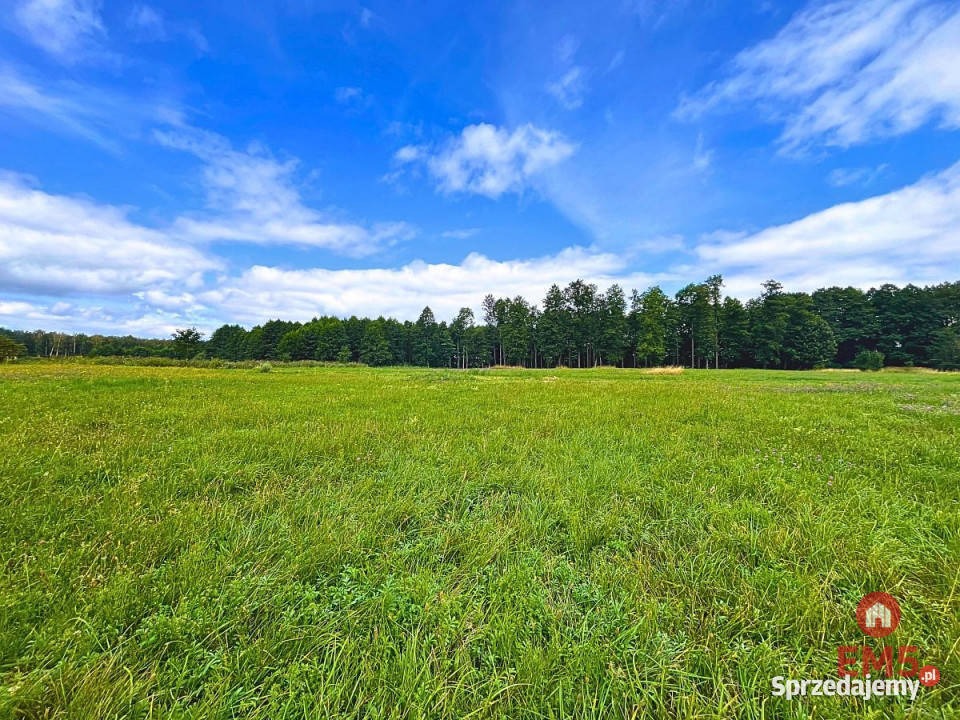 Działka Harsz 5820m2 Nieruchomości