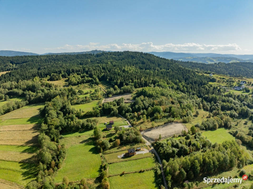 Działka rolna Sprzedaż Kasina Wielka Polska 7100m2 sprzedam