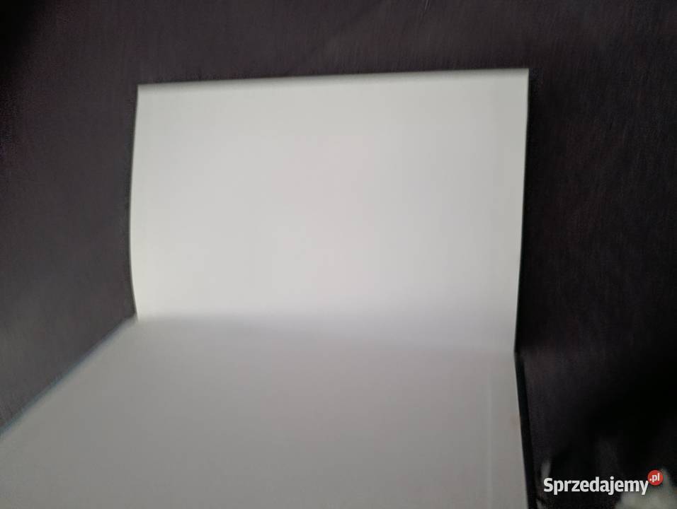 autorstwa Neila Gaimana zatytułowana Ocean na wielkopolskie Poznań