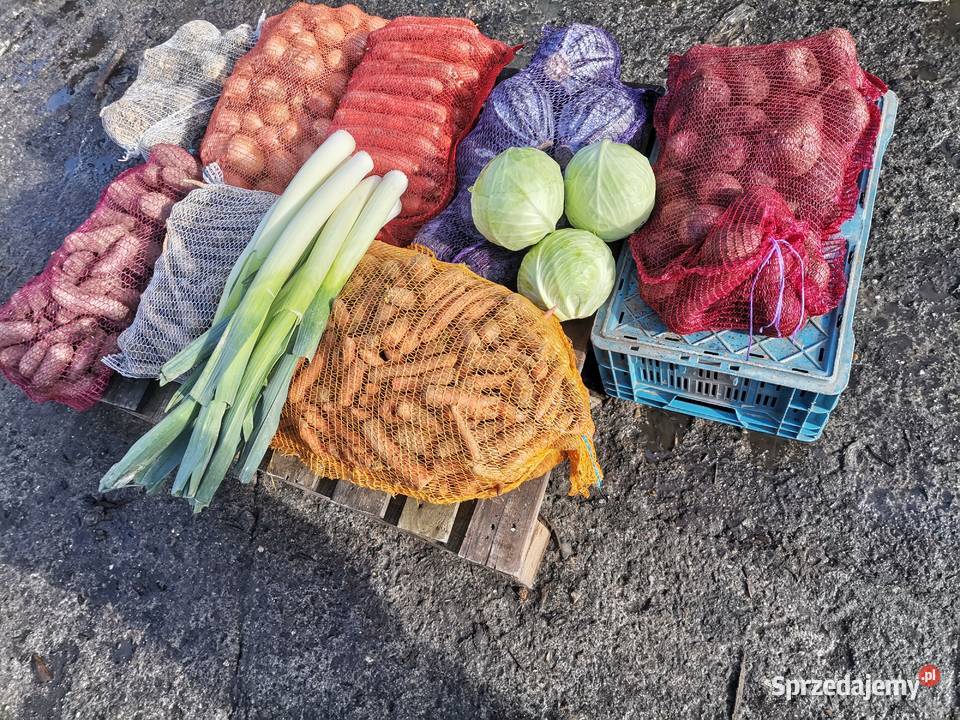 SPRZEDAM WARZYWA WSZYSTKIE WARZYWA POSIADAM Proszowice